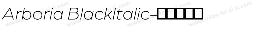 Arboria BlackItalic字体转换